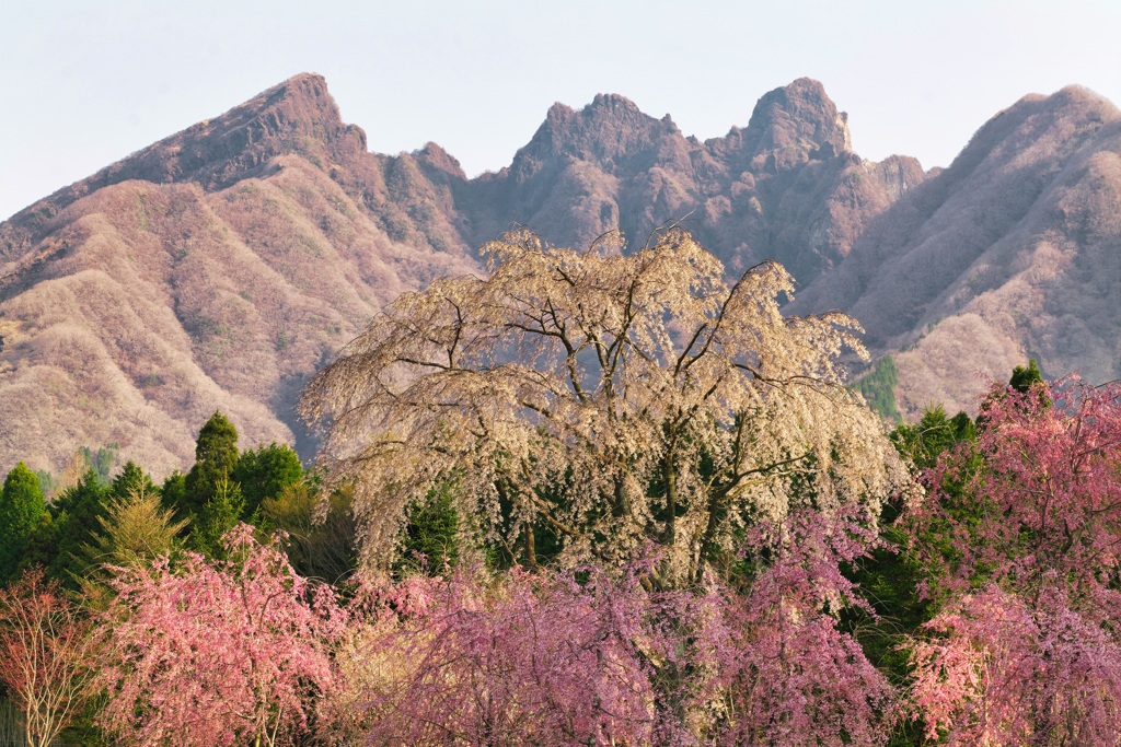 根子岳