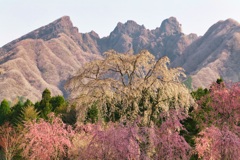 根子岳