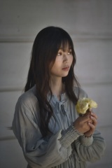 Yellow Rose