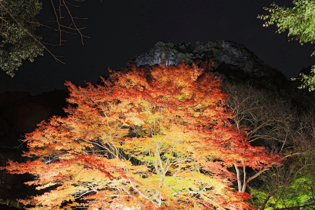 御船山楽園