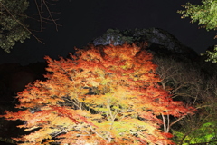 御船山楽園