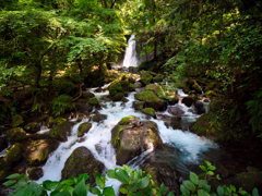 白糸の滝