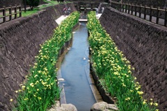 高瀬裏川