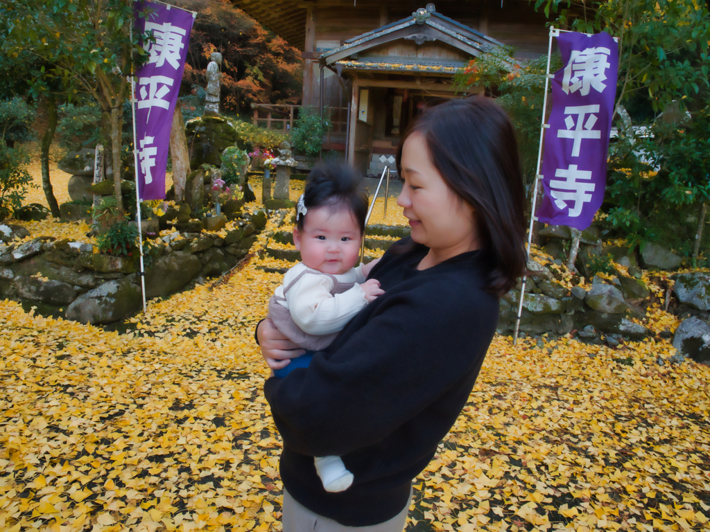 銀杏の絨毯