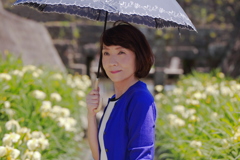 黄色い花しょうぶ