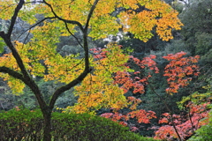 泰勝寺
