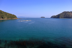 春の海