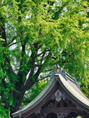 阿蘇神社