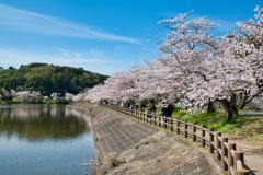 立岡自然公園