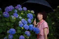 シェルブールの雨傘
