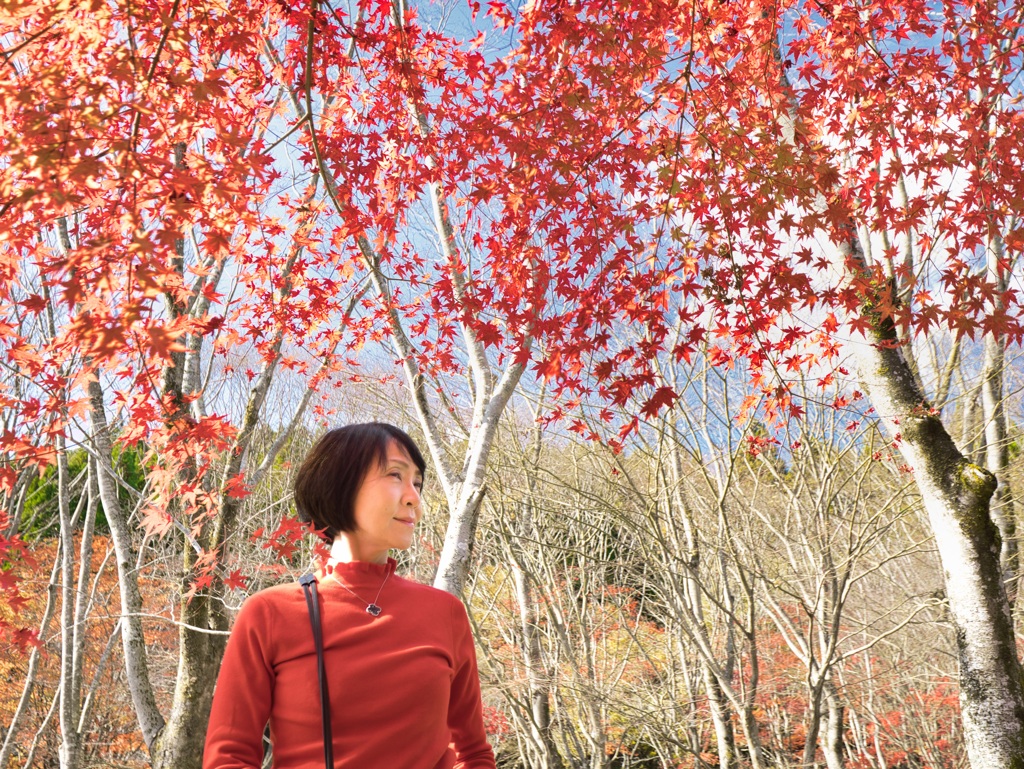 紅葉