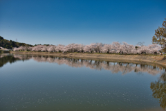 立岡自然公園