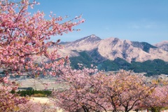 阿蘇山を望む