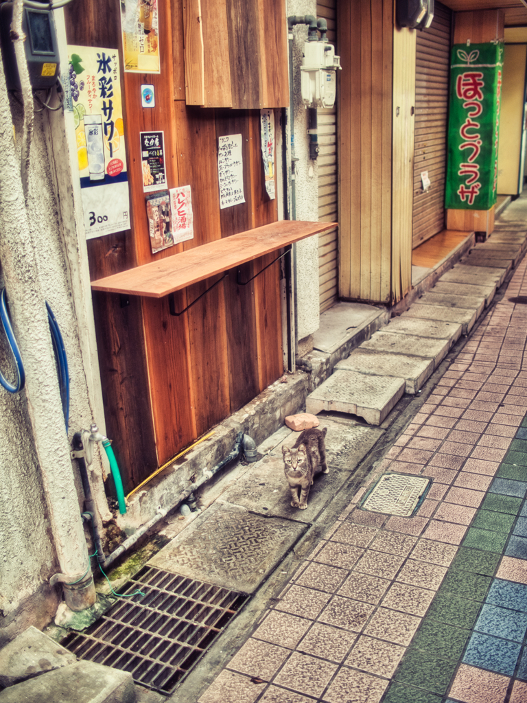 路地る