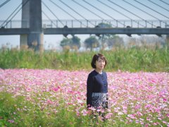 コスモブリッジ