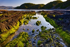 Sea green