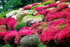 日輪寺公園