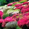 日輪寺公園