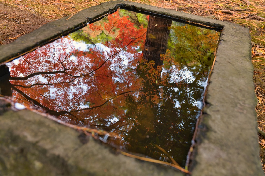 北岡自然公園