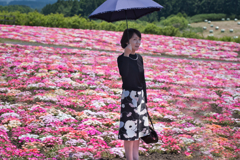 お花畑