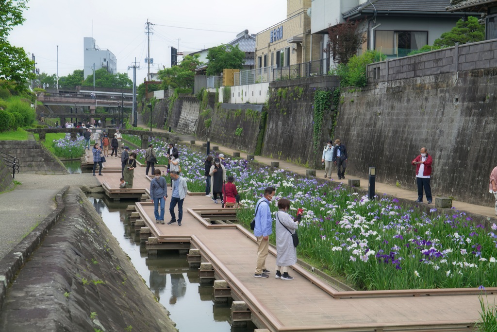 高瀬裏川