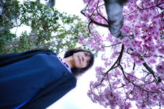 満開前
