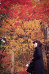 紅葉ポトレ