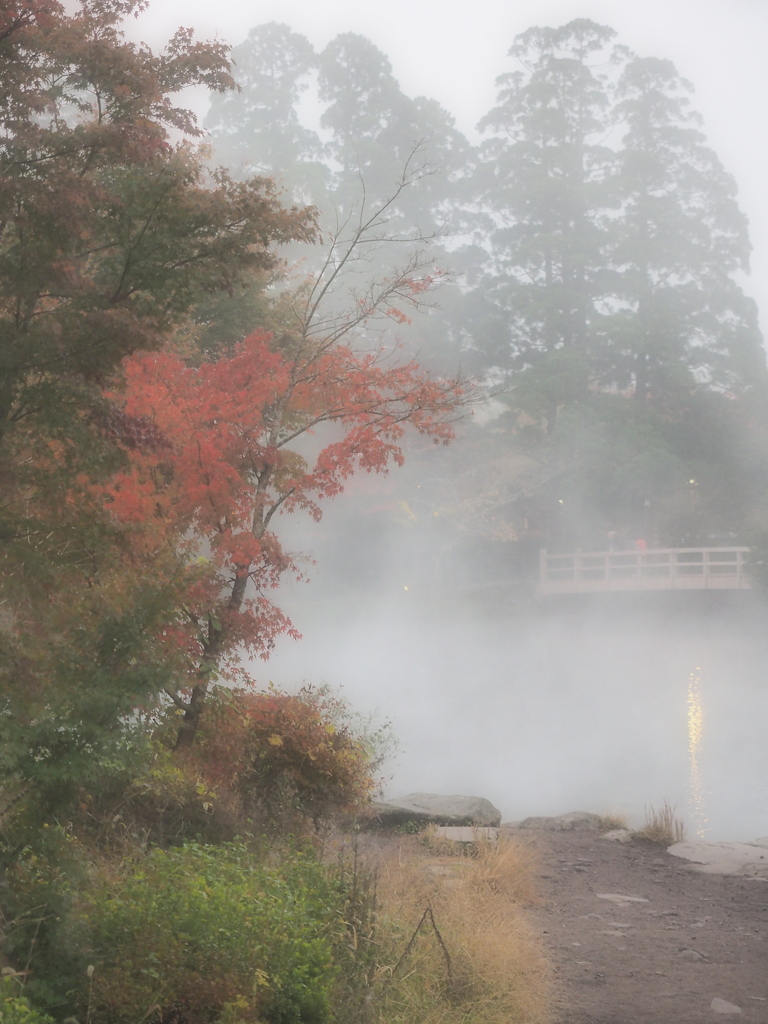 朝霧