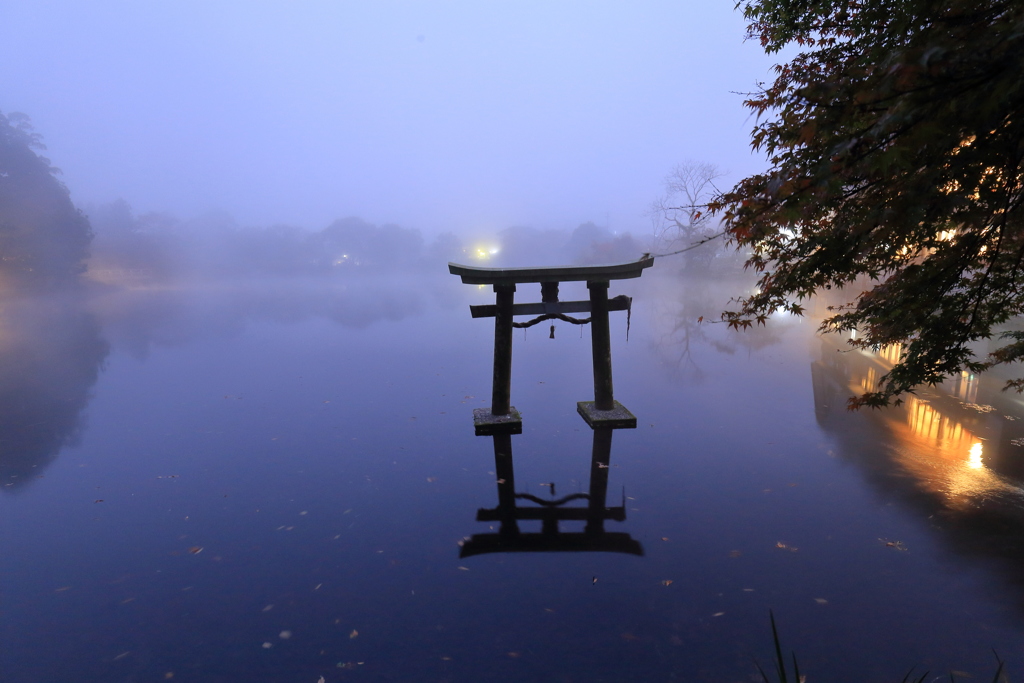 朝霧