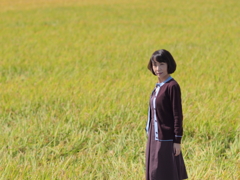 黄金の稲穂