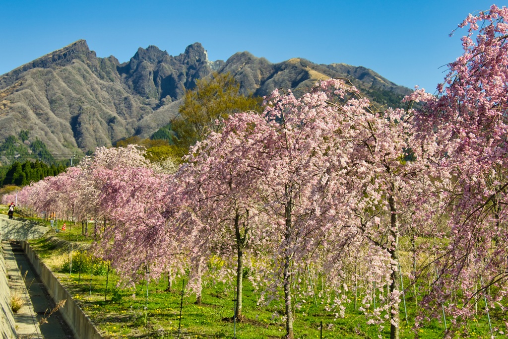 根子岳