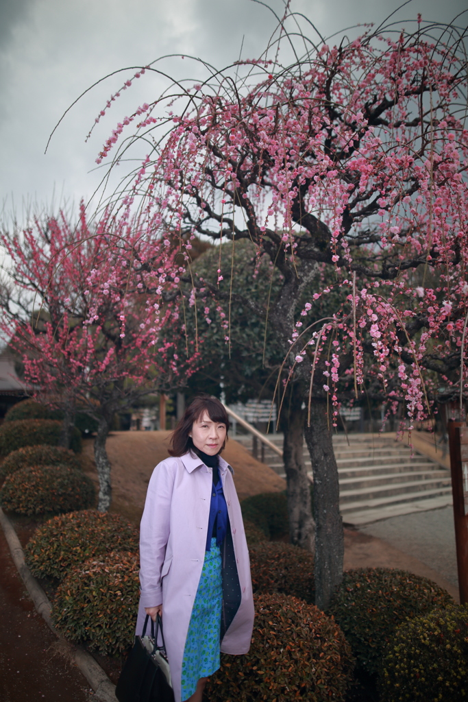 嫁ポ_水前寺成就園