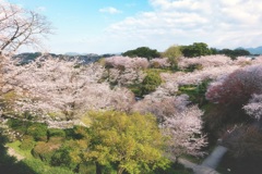 菊池公園