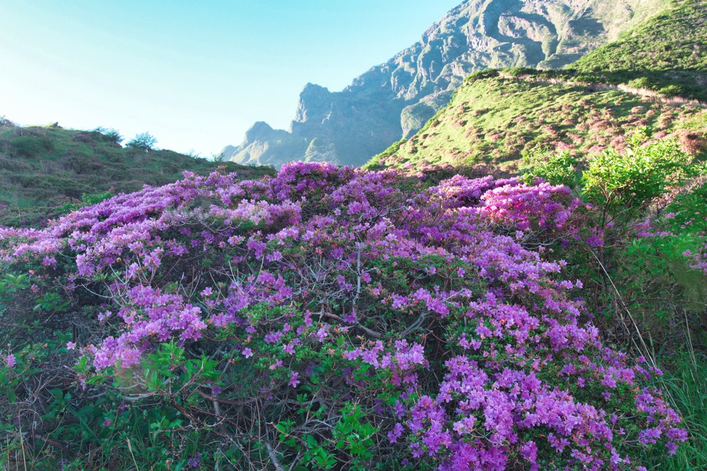 深山霧島