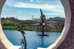 Tropical round window