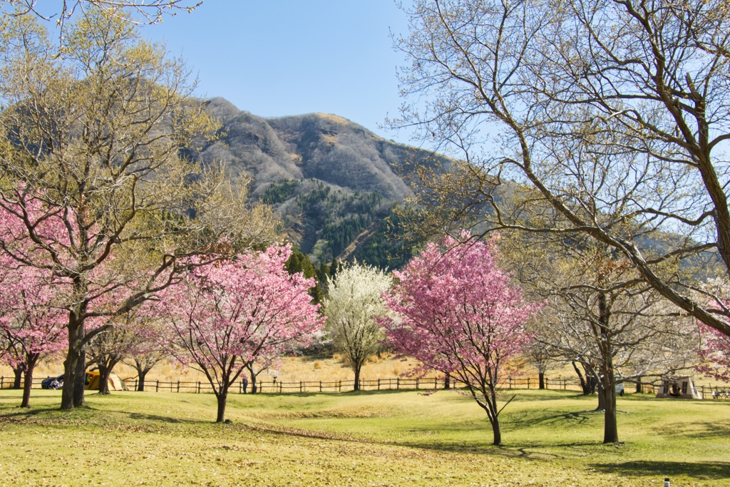 鍋の平キャンプ村