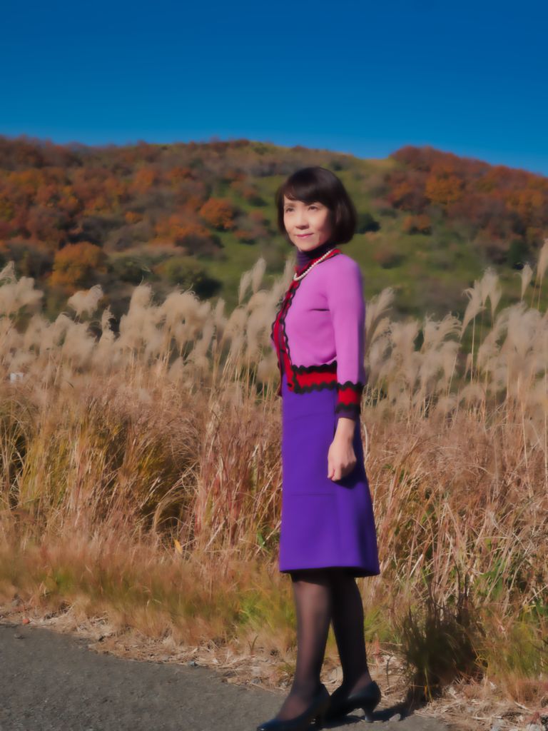 ススキと紅葉