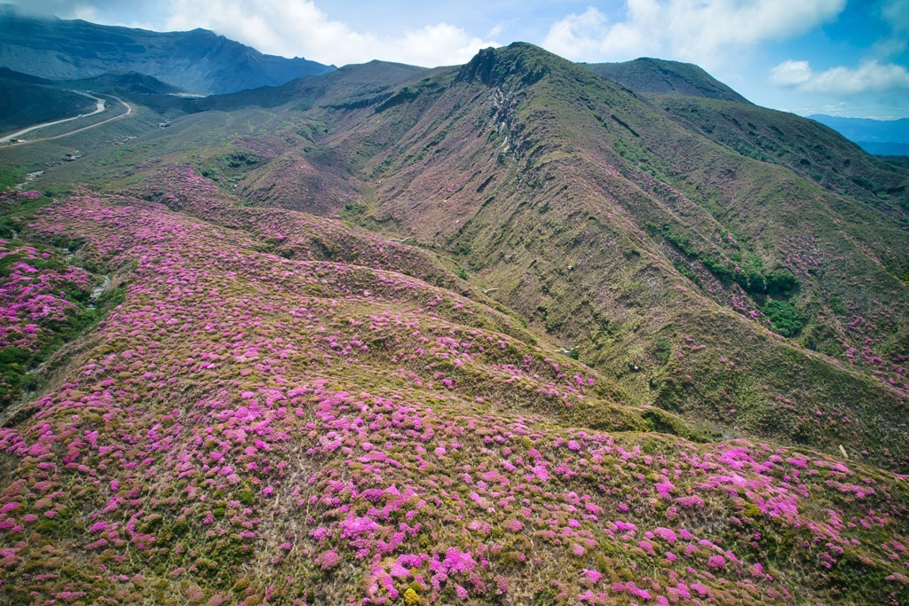 深山霧島