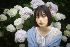 アジサイ
