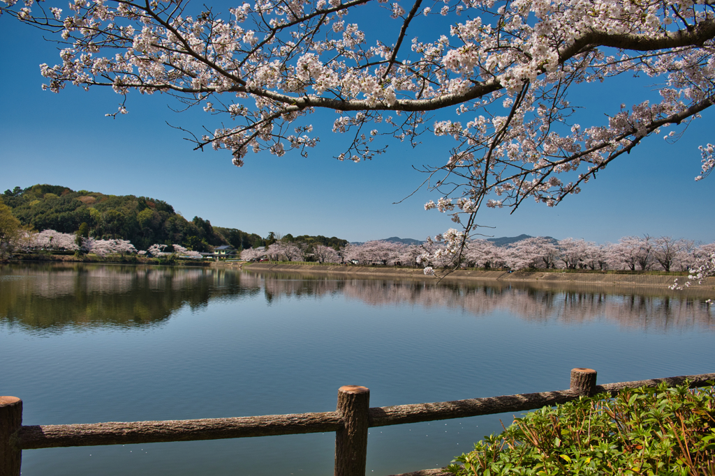 立岡自然公園