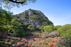 つつじ谷