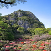 つつじ谷