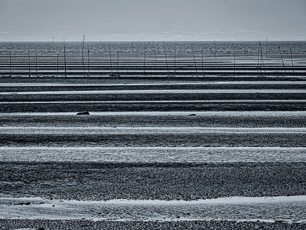 海苔棚