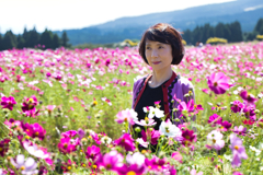 秋桜