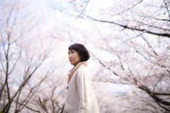 桜ポトレ
