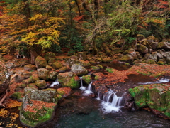 秋の空気