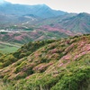 中岳火口の噴煙を望む