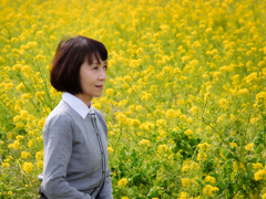 菜の花畑