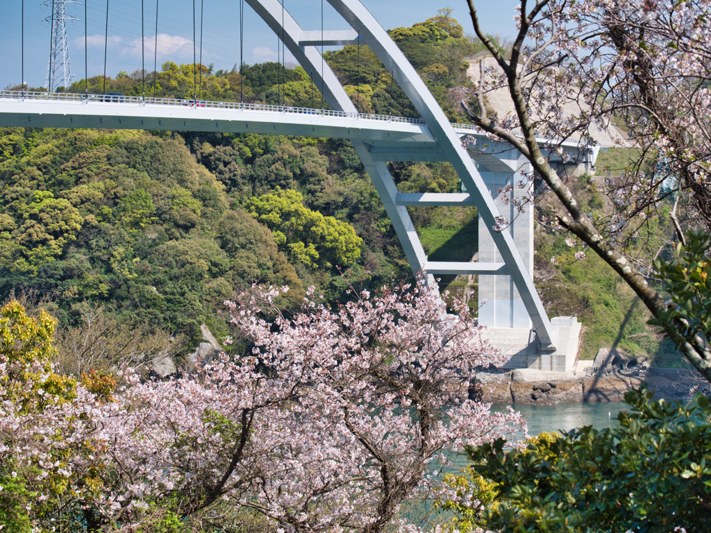天城橋_新一号橋@天草五橋