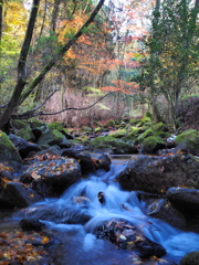 沢登り